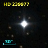 HD 239977
