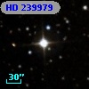 HD 239979