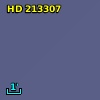 HD 213307