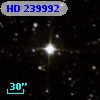 HD 239992