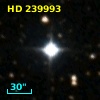 HD 239993