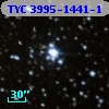 TYC 3995-1441-1
