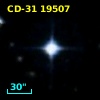 CD-31 19507