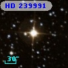 HD 239991