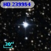 HD 239984