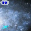 [PDL2002] NGC 7793 R2