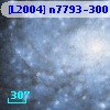 [L2004] n7793-300