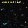 OGLE Scl 1142