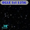 OGLE Scl 1256
