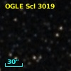 OGLE Scl 3019