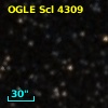 OGLE Scl 4309
