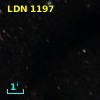 LDN 1197