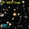 V* V677 Cep