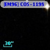 [EM96] COS-1198