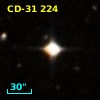 CD-31   224