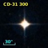 CD-31   300
