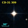 CD-31   309