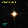 CD-31   442
