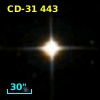CD-31   443