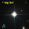 V* sig Scl