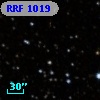 RRF 1019