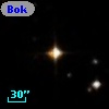 Bok  III 167
