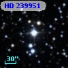 HD 239951