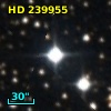 HD 239955