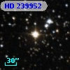 HD 239952