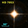 HD   7953
