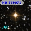 HD 239971