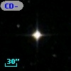 CD-31   505