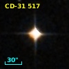 CD-31   517