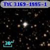 TYC 3169-1885-1