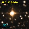 HD 239960