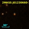2MASS J01230660-3155484