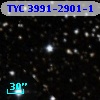 TYC 3991-2901-1