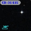 CD-31   615
