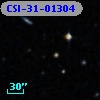 CSI-31-01304