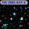TYC 3992-677-1
