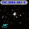 TYC 3994-491-1