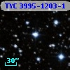 TYC 3995-1203-1