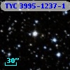 TYC 3995-1237-1