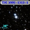 TYC 3995-1313-1