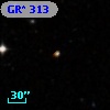 GR* 313