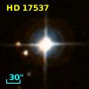 NLTT  9019