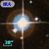 IRAS 02476-2446