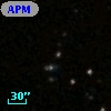 APMCC 303
