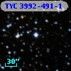 TYC 3992-491-1