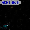 ACO S 1019